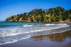 Muir Beach, Marin County, California, USA Art Print